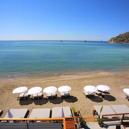 Exodus A Blok * Alanya